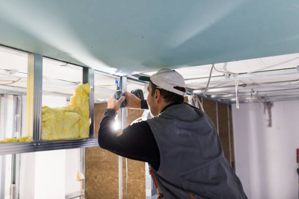 Best Insulation Maintenance and Repair in Salem Lakes, WI