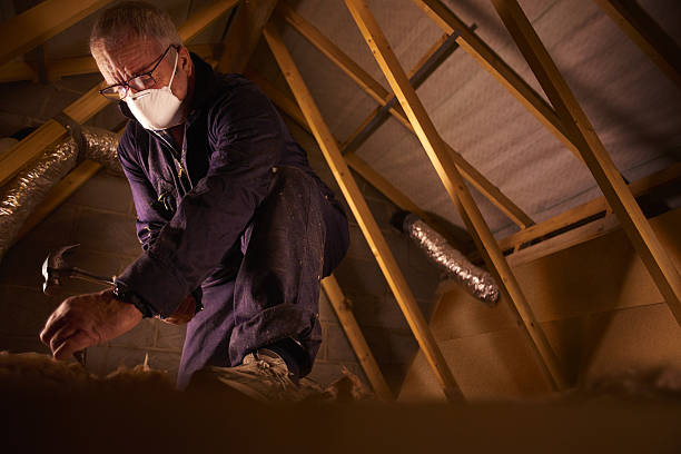 Best Cellulose Insulation in Salem Lakes, WI